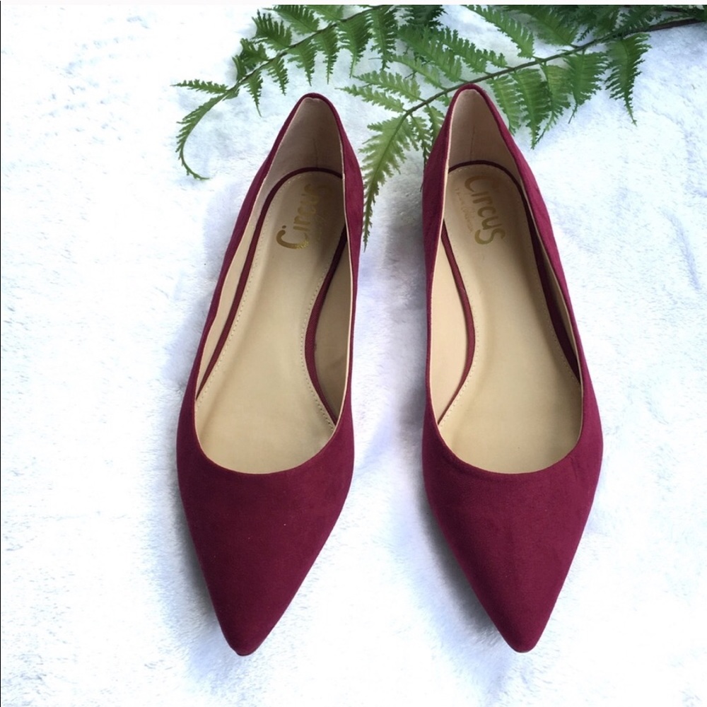 Sam Edelman pointed flats